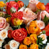 This upscale and uptown floral arrangement showcases a stunning combination of orange
