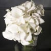 This beautiful bouquet will arrive in style! Ready for the runway, as