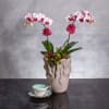 Immerse yourself in the natural beauty of our exquisite floral arrangement featuring