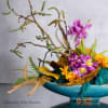 Imagine a captivating scene where the untamed beauty of nature meets the