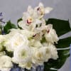 For a touch of elegance, consider our blue and white floral, meticulously