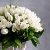 White tulips symbolize purity, innocence, and new beginnings. When arranged in a