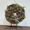 Height 26&quot;, Width 20&quot;, Thickness 7&quot;.
All airplants are live.