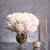 Same day delivery from your local florist! Delight in the ethereal beauty