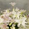 Same-day delivery in Beverly Hills and local Los Angeles cities presents an