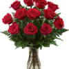 One Dozen long stem roses accented with assorted greens and a decorative