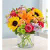 A rich gathering of yellow and orange blooms, with pops of bright