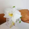 Corsage