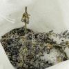 Our Lavender Calm bath tea blend is carefully crafted to provide you