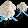 Order a Fresh Flower Corsage or Boutonniere for Your Prom Date, Anniversary