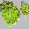 Order a Fresh Flower Corsage or Boutonniere for Your Prom Date, Anniversary