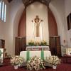 Beautiful blush, pink &amp; white roses, daisies, alstroemeria and other fillers altar