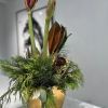 Gold ceramic pot dressed with fragrant holiday greens wrapped around a single