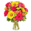 Shine bright with this gorgeous hand crafted bouquet of Gerberas, roses, spray
