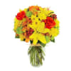 Brighten up that fall day, with this cheerful harvest bouquet. Containing Lilies