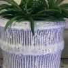 Can be potted with houseplant for additional cost. Please let us know