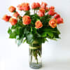  Beautiful orange Roses is always the perfect choice.