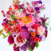 The Sizzler is Stacy&#039;s pick of the freshest most beautiful summer flowers