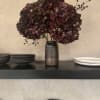 A rare dutch hydrangea that takes a week import from the premier