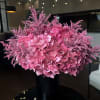 Pink hydrangea in a black vase.