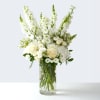An exquisite arrangement of timeless purity of white blossoms with the fresh