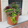 Seasonal flowers/live plants, planted in your container of choice.