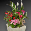 Send peace someone&#039;s way with this elegant, eye-pleasing arrangement of multiple flowering