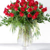 It&rsquo;s not difficult to see why the rose is the most popular