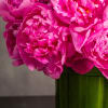 Treat yourself or a loved one to our exquisite floral arrangement featuring