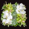 The Eternal Garden is the perfect, practical gift. Show your special someone