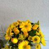 A low compact arrangement of assorted yellow flowers such as roses, gerbers