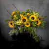There&rsquo;s so much about sunflowers that inspire and that&rsquo;s why we&rsquo;ve captured