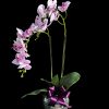 A beautiful real touch artificial orchid hand arranged in a ceramic pot.