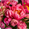 Indulge in a harmonious symphony of natural beauty with our exquisite floral