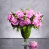 Experience the charm of 2 dozen Pink Peonies for same-day delivery from