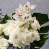 For a touch of elegance, consider our blue and white floral, meticulously