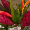 A collection of exotic flowers. This assortment covers the whole spectrum of