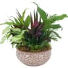 A variety of green plants in a ceramic container.

