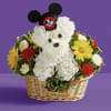 Plutos cousin and mickeys pal