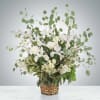 A wispy white and green basket featuring silver dollar eucalyptus and white