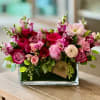Let &#039;Expressions of Love make your message loud and clear - whether