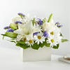 BEYOND BLUE BOX BOUQUET
Channeling calmness and serenity our Beyond Blue Box Bouquet