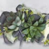 Wrist Corsage with succulents, white spray roses and white filler flower on