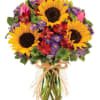 It&#039;s the beauty of a field of flowers from the comfort of