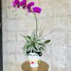 Transform your summer with the Tropical Frida!
We&#039;ve combined the elegance of the