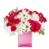 This arrangement contains spray daisies and spray roses. This is a great