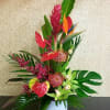 Tropical sympathy basket with anthuriums, orchids, birds of paradise and more. 