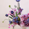 - Blooms with captivating mix of deep-toned, vibrant multicolored tulips
- Creates a