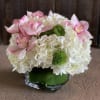 White hydrangeas, pink cymbidium orchids with a touch of green dianthus wrapped