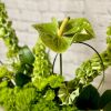 The Green Envy Bouquet is a stunning and modern floral arrangement that